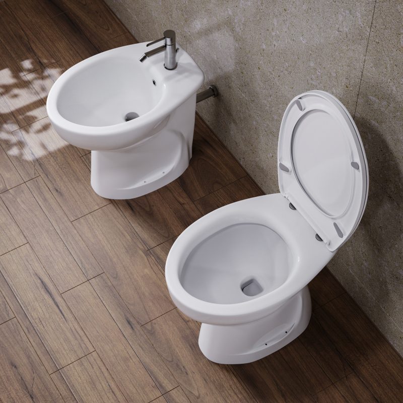 Sanitari bagno terza eta’ Bidet e Vaso WC anziani in ceramica scarico pavimento con coprivaso Sanitari Bagno